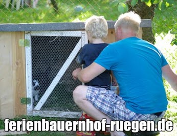 HAsenstall
