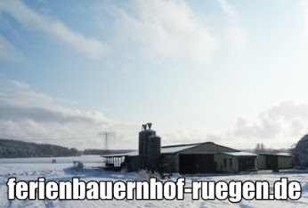 Kuhstall im Winter