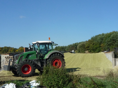 Maissilage