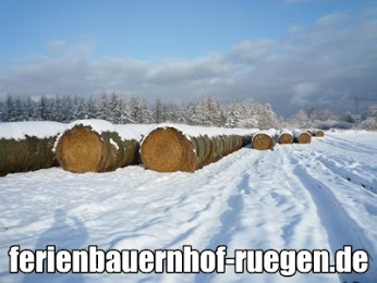 WInter auf dem Bauernhof