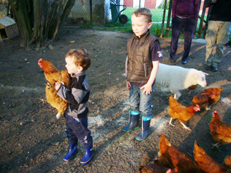 Der kleine Mann und das  Huhn ...