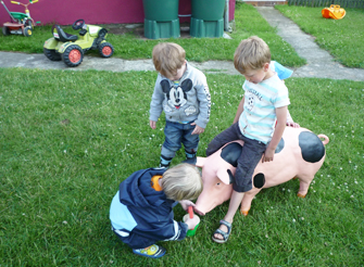 Was frißt das Schwein?