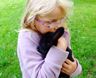 Kaninchen Kuschel.