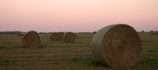Abendstimmung auf dem LAnde ...