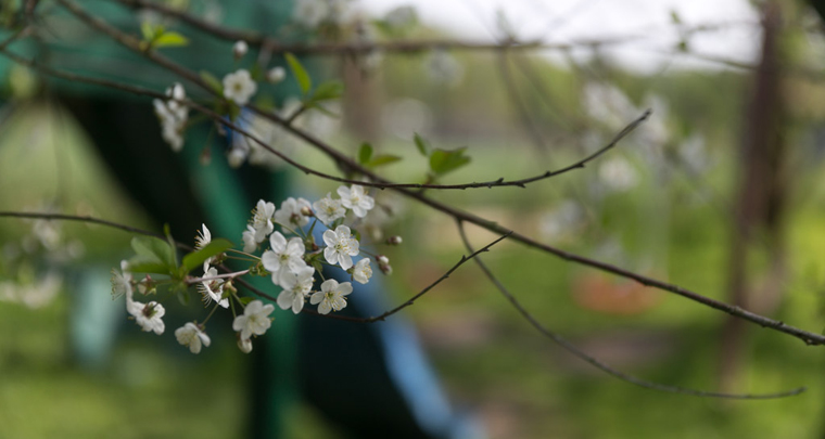 Kinderbauernhof mit Obstbäumen
